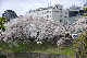 image0139