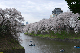 image0141