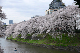 image0143