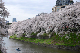 image0144