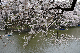 image0153