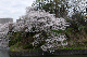 image0162