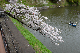 image0166