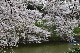 image0174