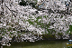 image0175