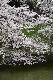 image0176