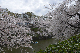 image0191