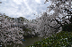 image0192