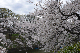 image0193
