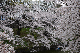 image0194