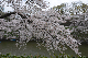 image0197