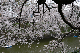 image0205