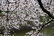 image0206