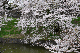 image0210