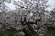image0211