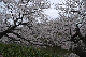 image0212