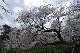 image0213