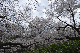 image0214