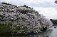 image0227