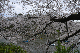 image0231
