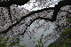 image0232