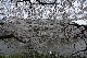 image0233