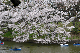 image0239