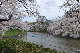 image0242