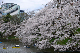 image0254
