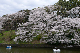 image0258