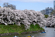 image0272