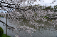 image0280