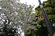 image0282