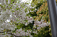 image0283
