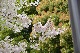 image0284