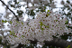 image0285