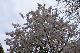 image0286