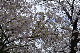 image0287