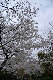 image0288