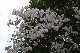 image0290