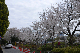 image0291