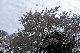 image0292