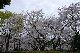 image0293