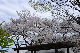 image0294