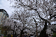 image0295