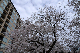 image0299