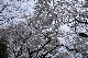 image0300