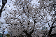 image0302