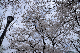 image0303
