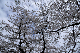 image0304